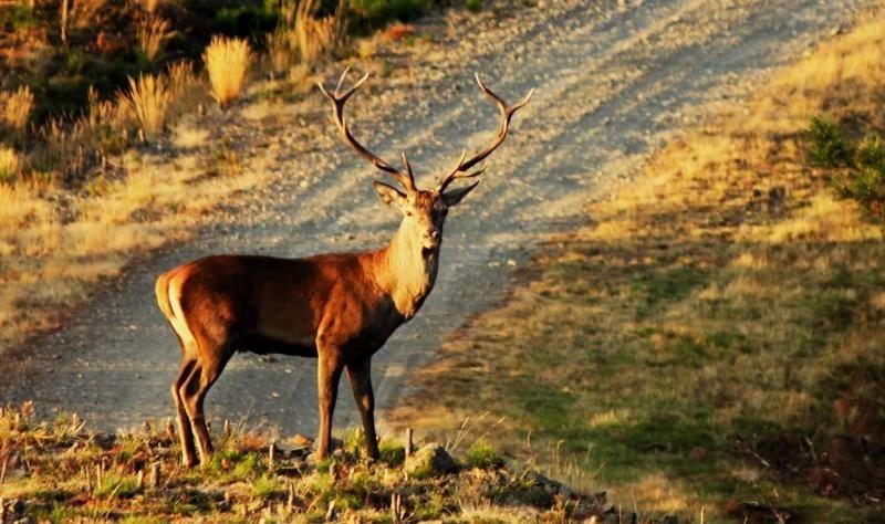 Chez Louise: Onde A Serra Beija O Ceu Лозан Екстер'єр фото